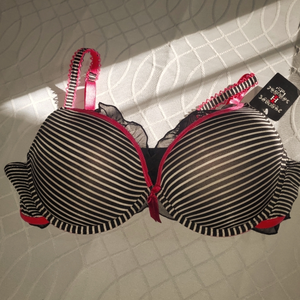 NWT Icy Hot sz 40DD black striped bra with Hot Pink trim